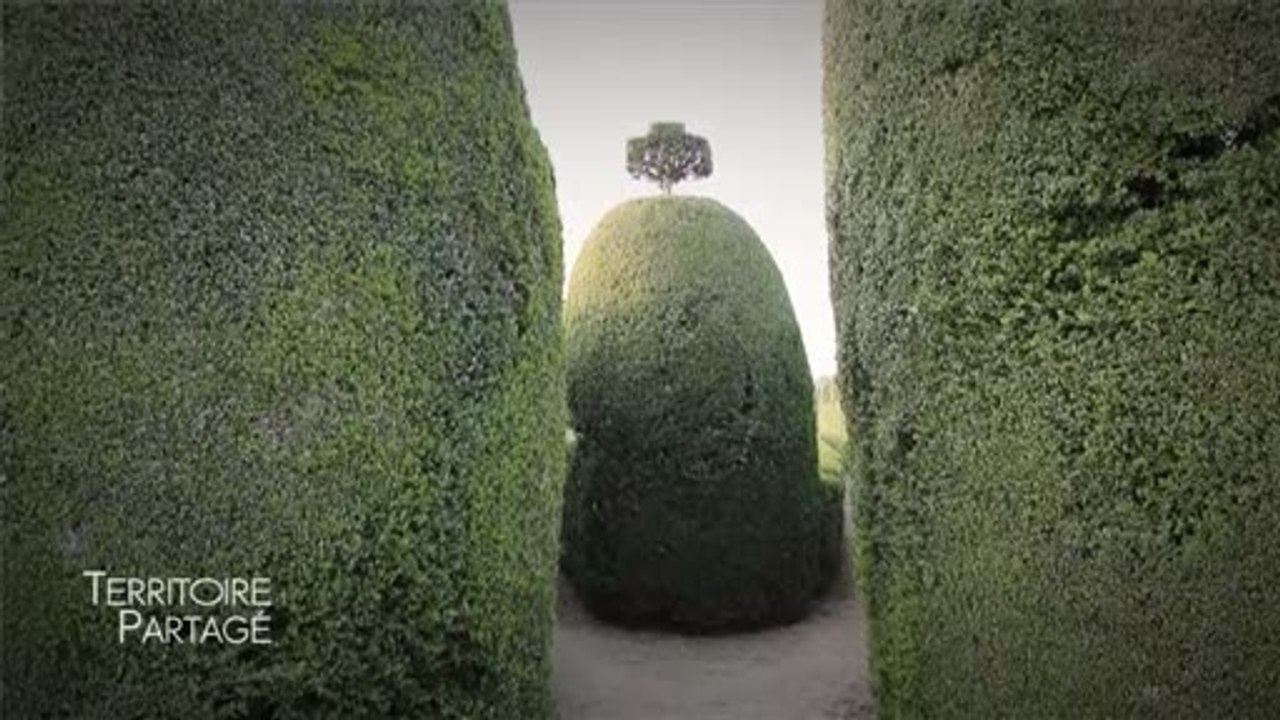 Territoire Partagé : Le Cimetière Végétal de Mareil en Champagne