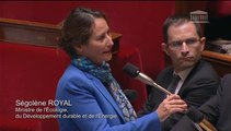Ségolène Royal répond à la QAG de Camille de Rocca Serra au sujet de l'avenir de la SNCM