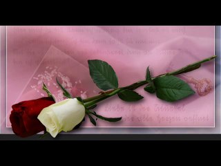 SAKİNE ARSLAN-Yalnız Sen.