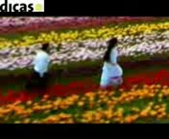 Banvare ne khilaya phool Sweet Song