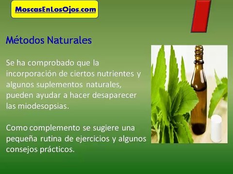 Como Curar Las Miodesopsias : Como Se Curan Las Miodesopsias o Como Curar Las Moscas en Los Ojos