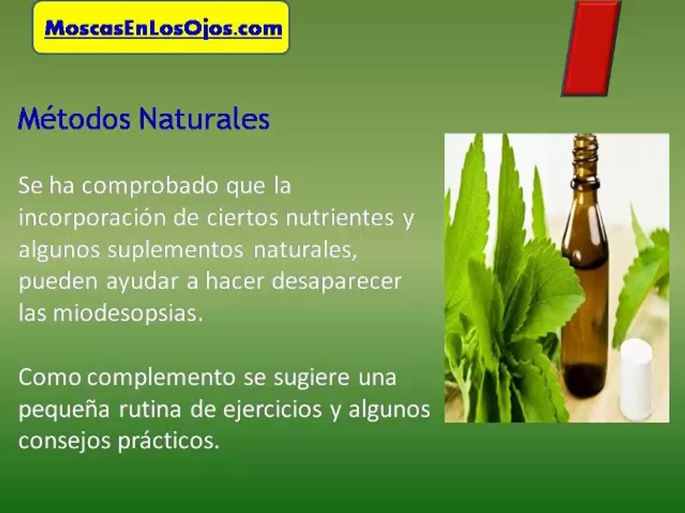 Como Curar Las Miodesopsias : Como Se Curan Las Miodesopsias o Como Curar Las Moscas en  Los Ojos