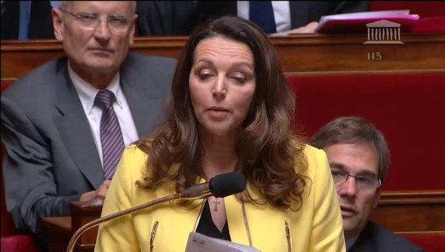 Valérie Boyer - Avenir des sages femmes