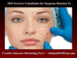 #1 SEO Services & SEO Consultants for Plastic Surgeons in Houston Texas
