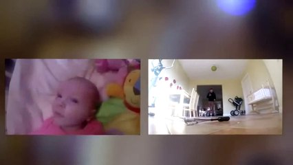 Conoce el Perro "niñero" que sabe cambiar pañales