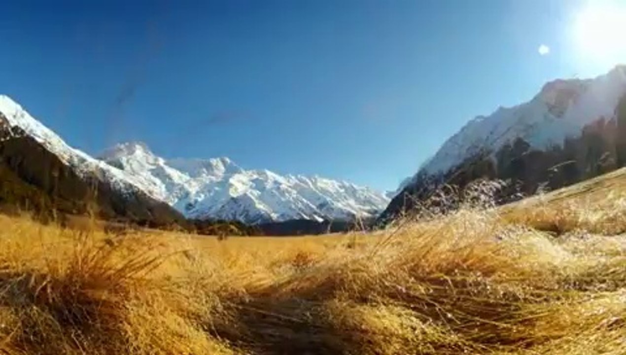 NATURE