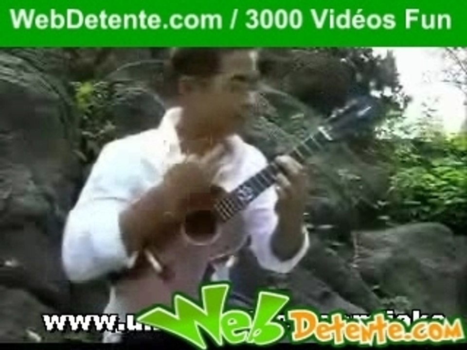 Ukulélé