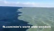 Pacific Ocean & Alaska Gulf Meets But Do Not Mix Their Water