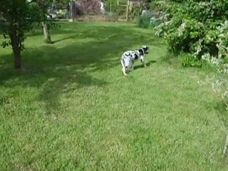 nenuko 3mois et deux semaines se defoule