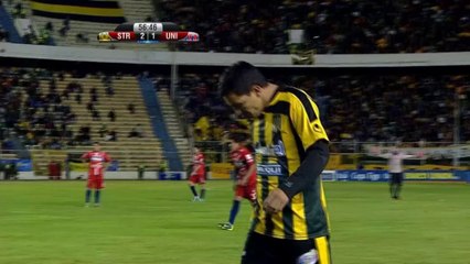 Heroic ball-boy saves dog