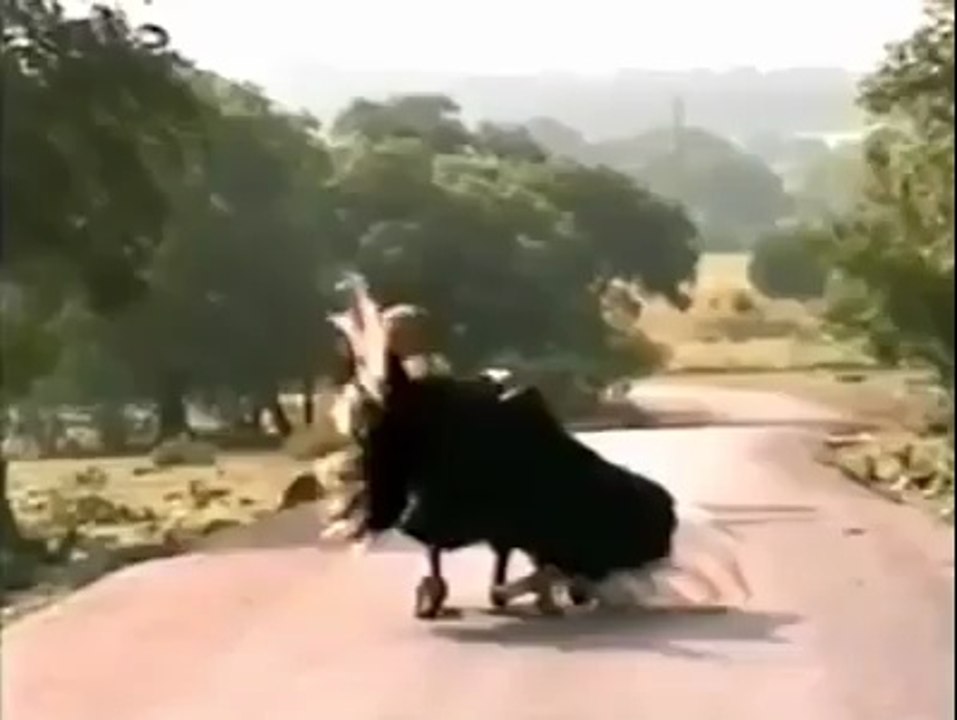 Beutiful Animal dance