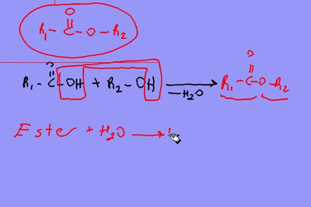 ORGANİK TEKRARI 2