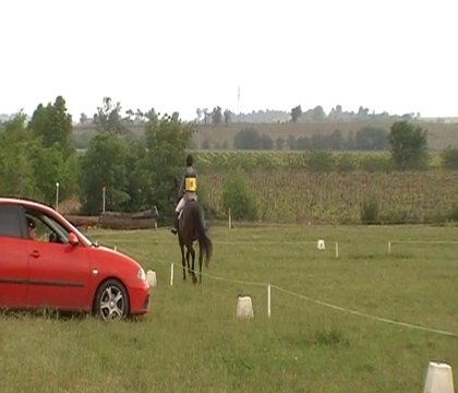 Manu et Umour, dressage Amateur 3 CCE Trèbes, 3 mai 2014