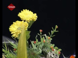 Aşık ERCAN - Şu dağların arkasını bilirim