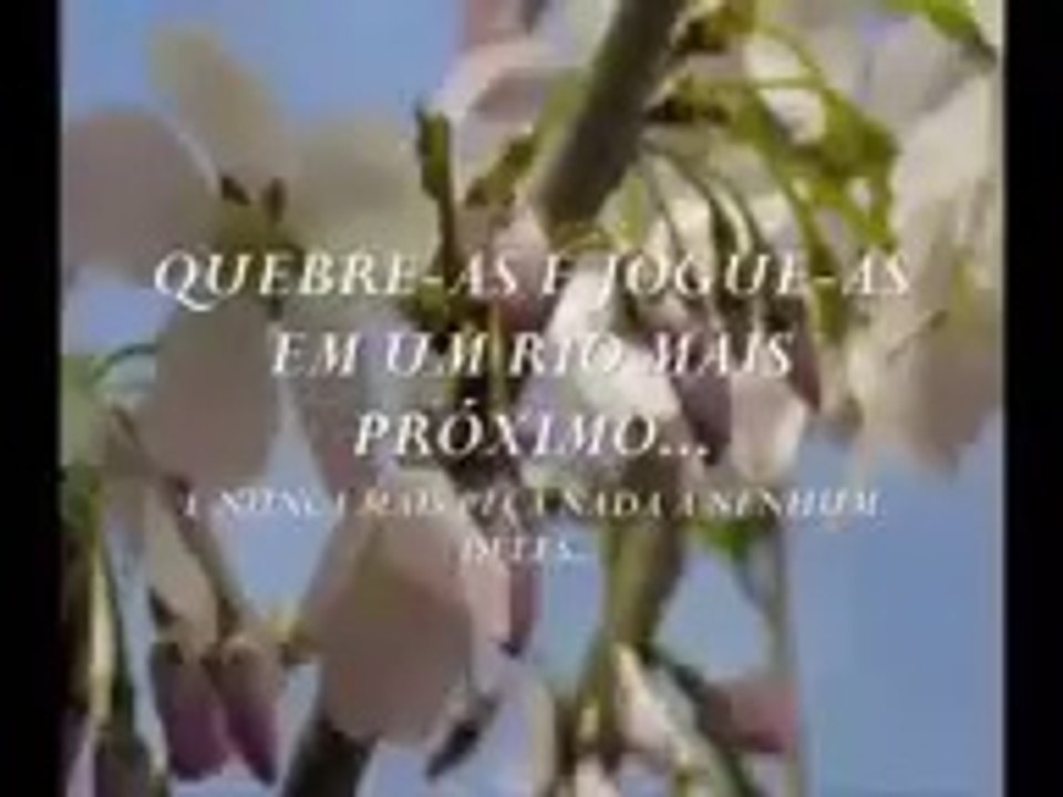 ▶ IGREJA CATÓLICA RASGA SALMO 115 E OS 10 MANDAMENTOS
