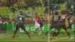But Dimitar BERBATOV (77ème) - AS Monaco FC - EA Guingamp - (1-1) - 07/05/14 - (ASM-EAG)