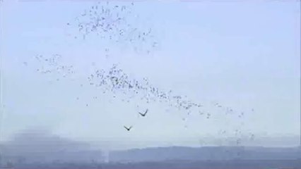 『아밤』3넷『abam3』 압구정건마∩ 기흥건마∽