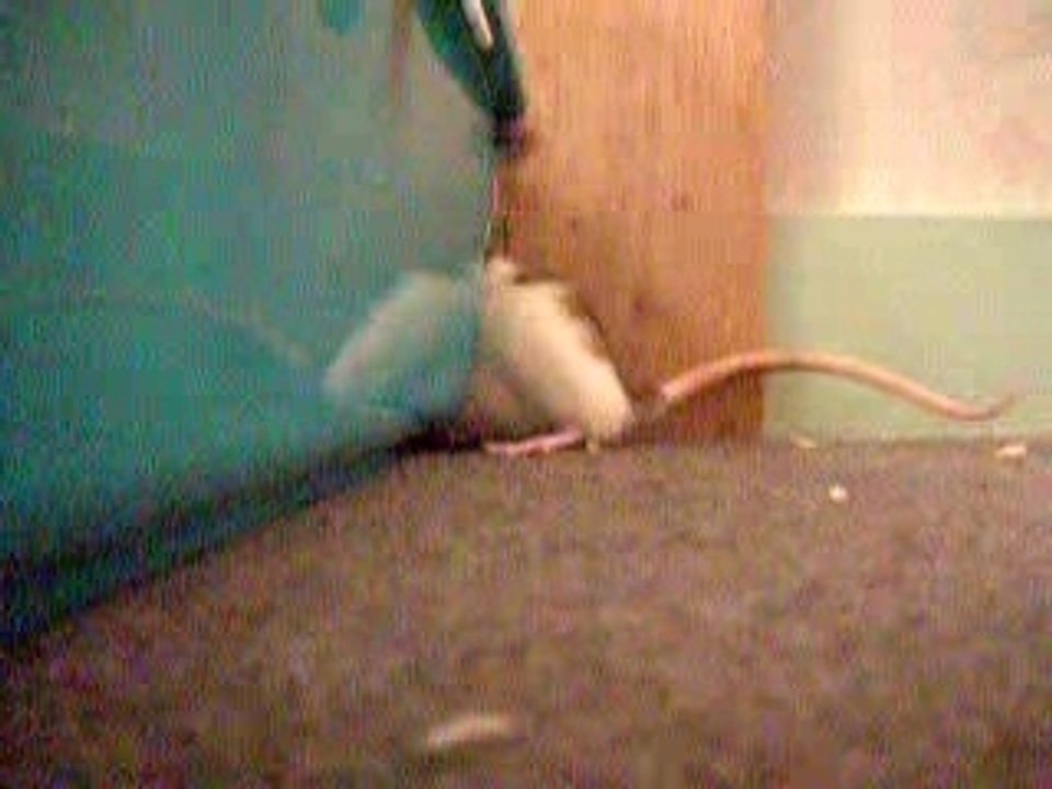 Ma grosse Loulou ^^