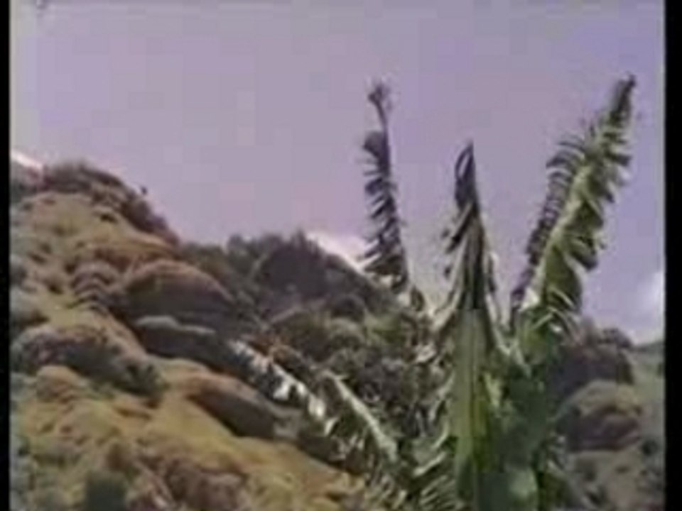 Rastafari 2