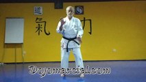 Kata Sanchin - Sanchin Kata - Maestro Andres Congregado 8vo Dan Karatedo