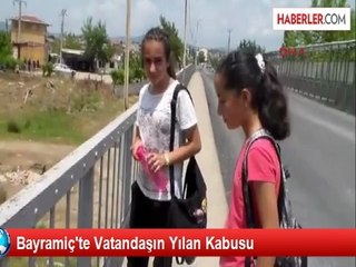 Çanakkale'de Çöplük Alanı Yılanlar Bastı