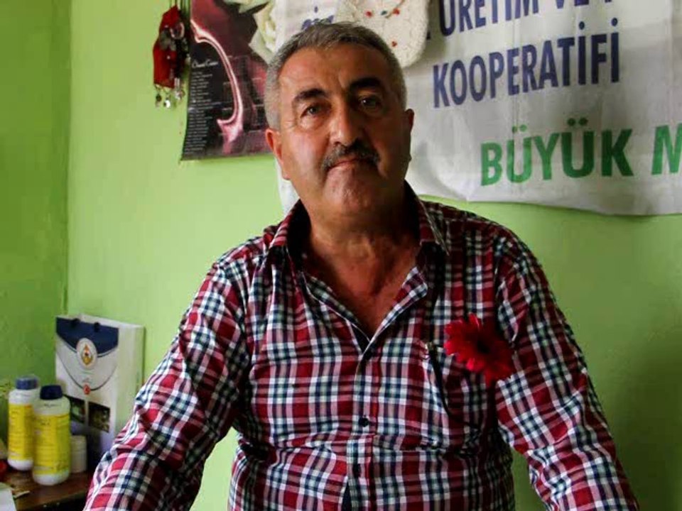 Pamukova da kesme çicekçilik büyüyyor.