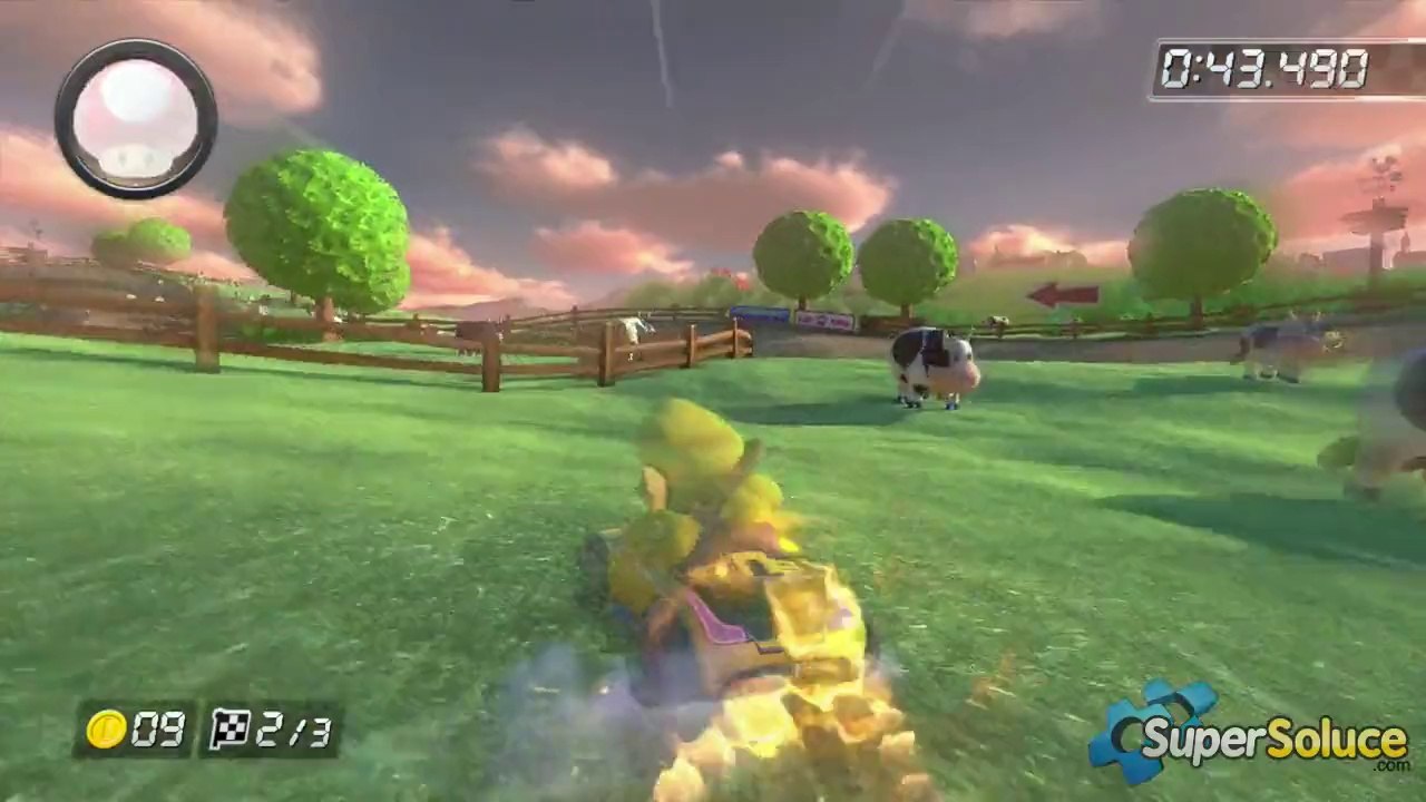 Coupe Carapace : Prairie Meuh Meuh