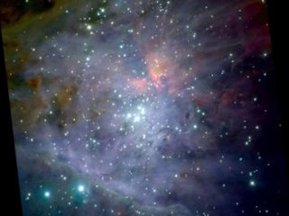 A2N seul contre tous fevrier 2013