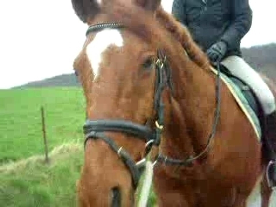 Pioupiou 28-01-07 =D 035