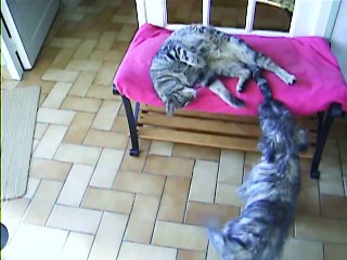 Jaudy et Babylone à 19h30 ce soir