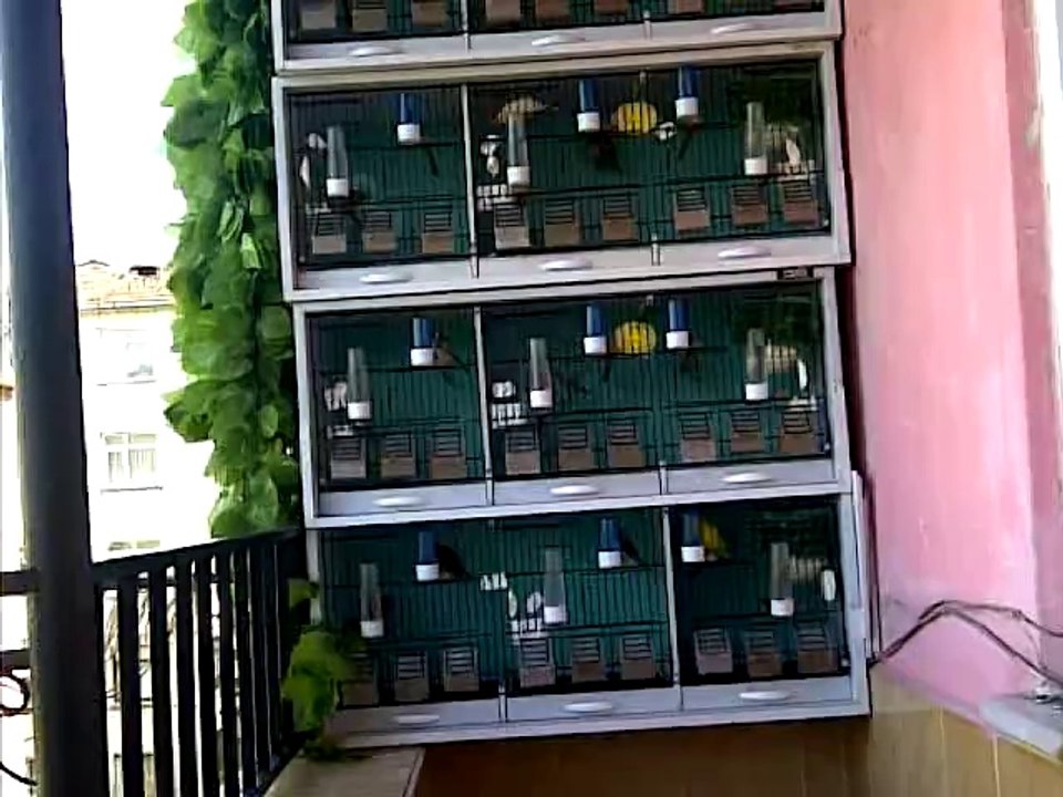 VID-20140531-00019