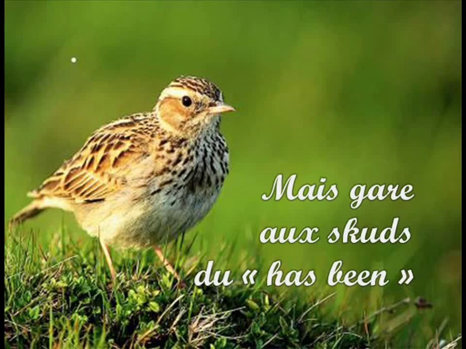 Hervé CRISTIANI - Alouette (Avec texte)