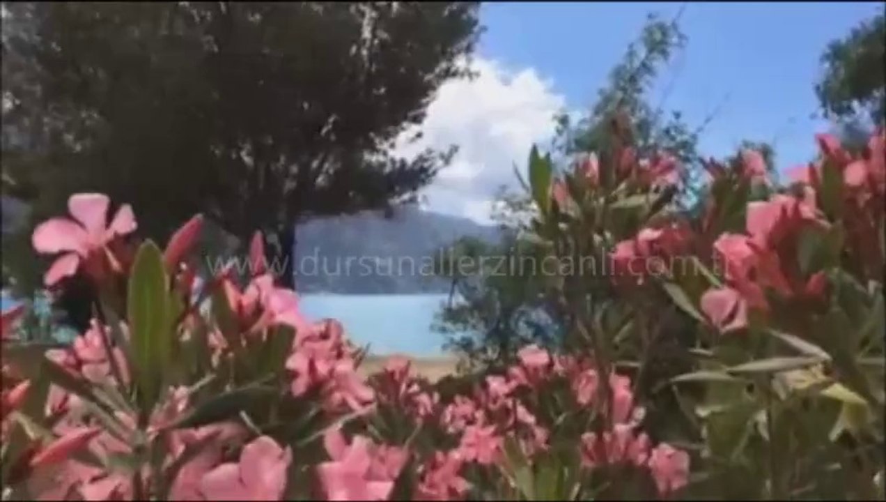 video 5