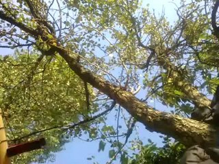 caner poyraz - nerdesin - (poyraz kardeşler)