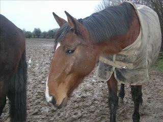 Video nathalie champs indien