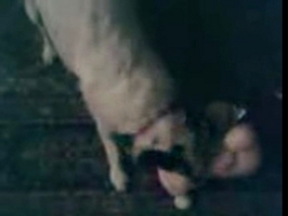 VID001