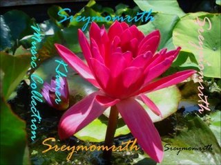 Khmer Music Collection