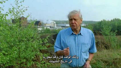 حياه الثديات الحلقه الثانيه صائدي الحشرات BBC