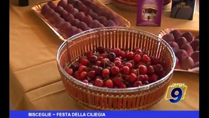 Bisceglie | Festa della ciliegia