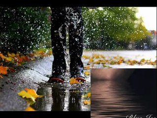 SoneR SaRıkabadayı - YaLaN DeğiL ___NiLKaRa___