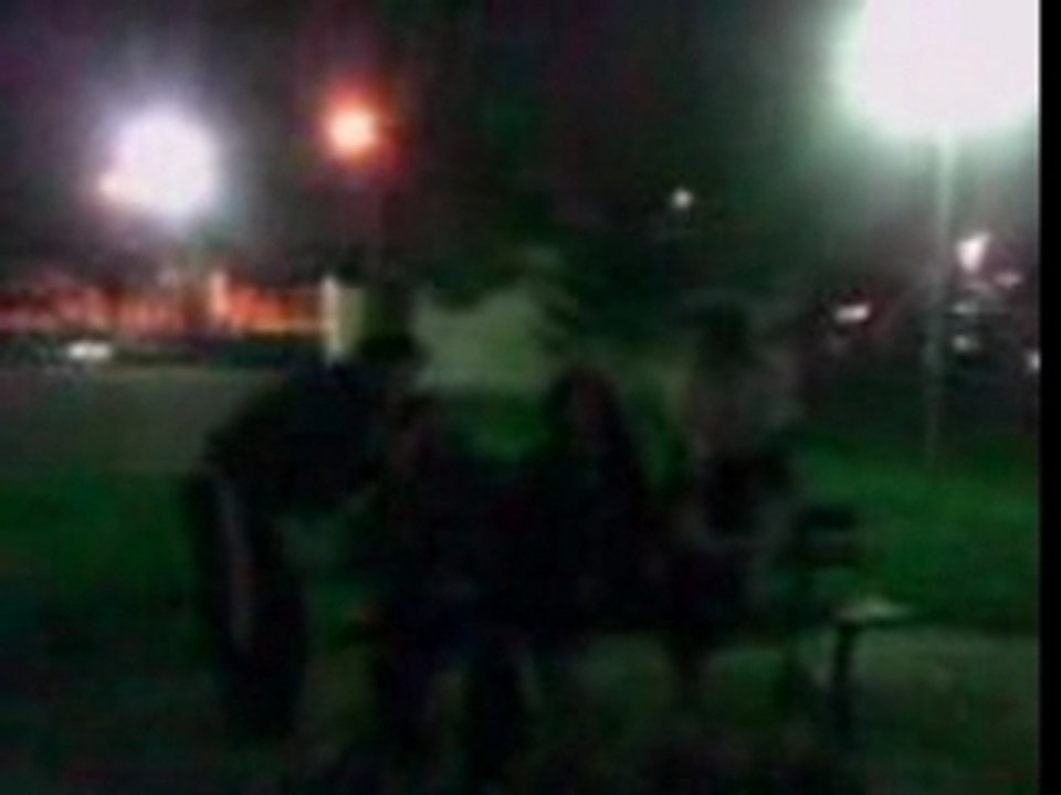 Les fous du loup