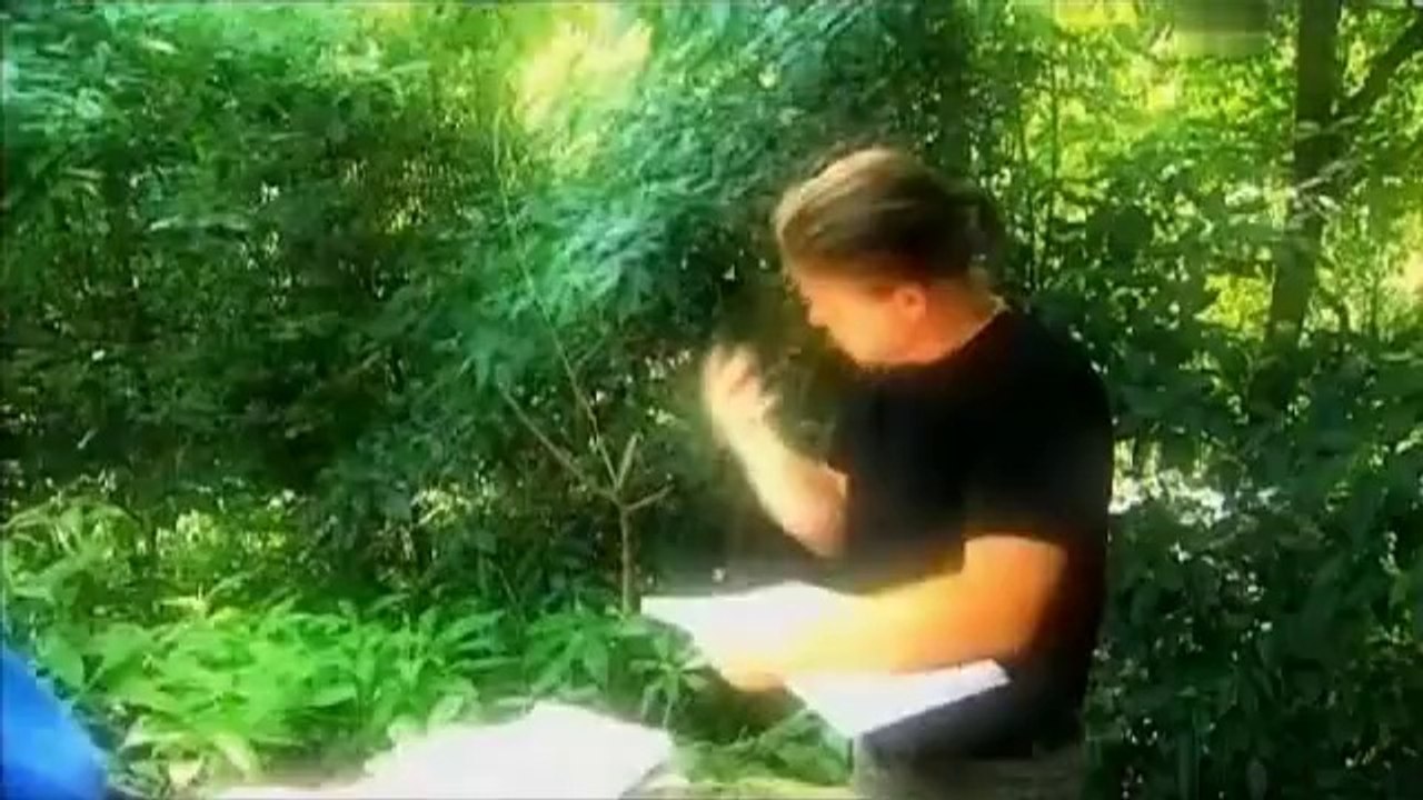 Vergangene Welten, Die Maya-Stadt Palenque 1_5