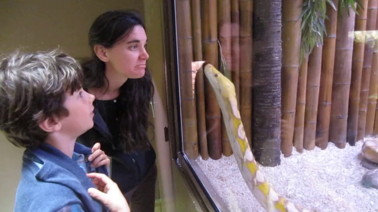 Serpent