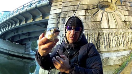 persici di fine maggio