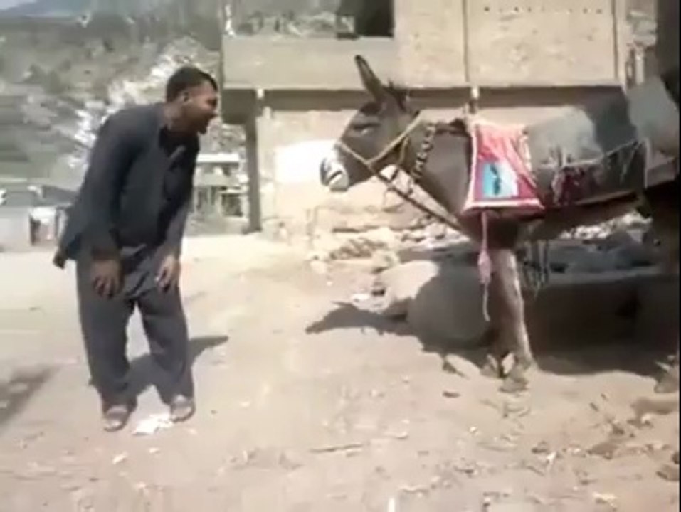 DONKEY MAN