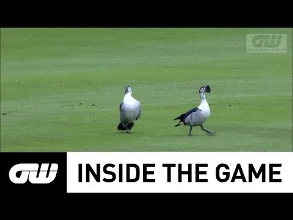 GW Inside The Game: Birdlife South Africa