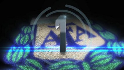 Torneo Final Top Five Goals: Week 13