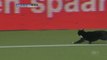 Cat recklessly invades pitch in Eredivise Match |  Heracles Almelo v FC Groningen - 13-04-13