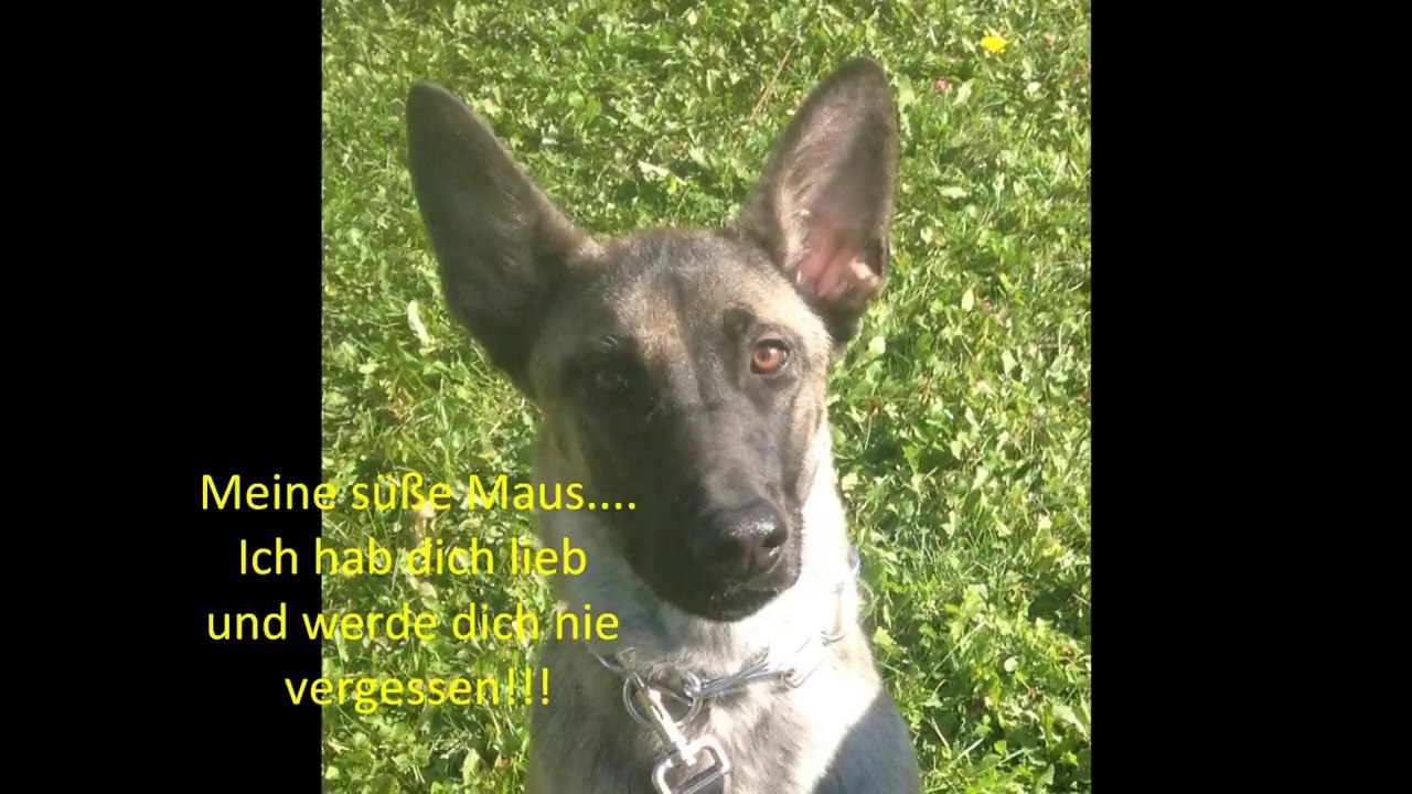 R.I.P. Be Aware Funky - We miss you!