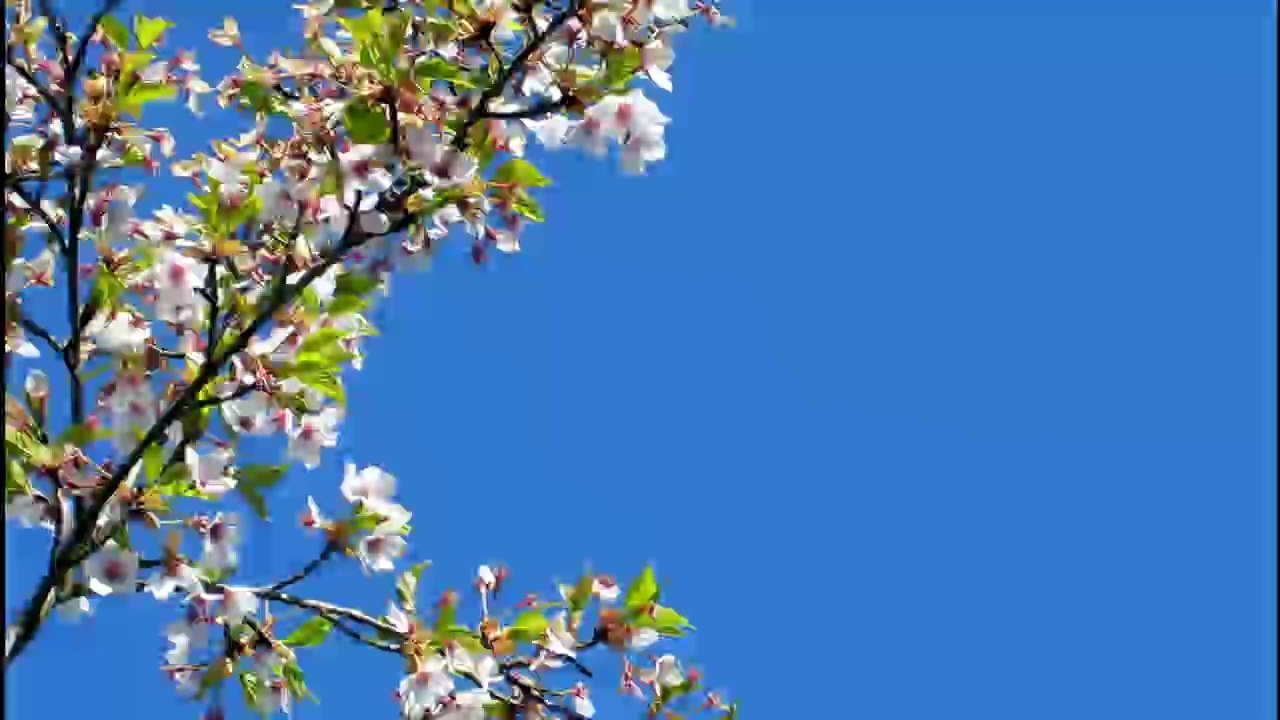 en plein été